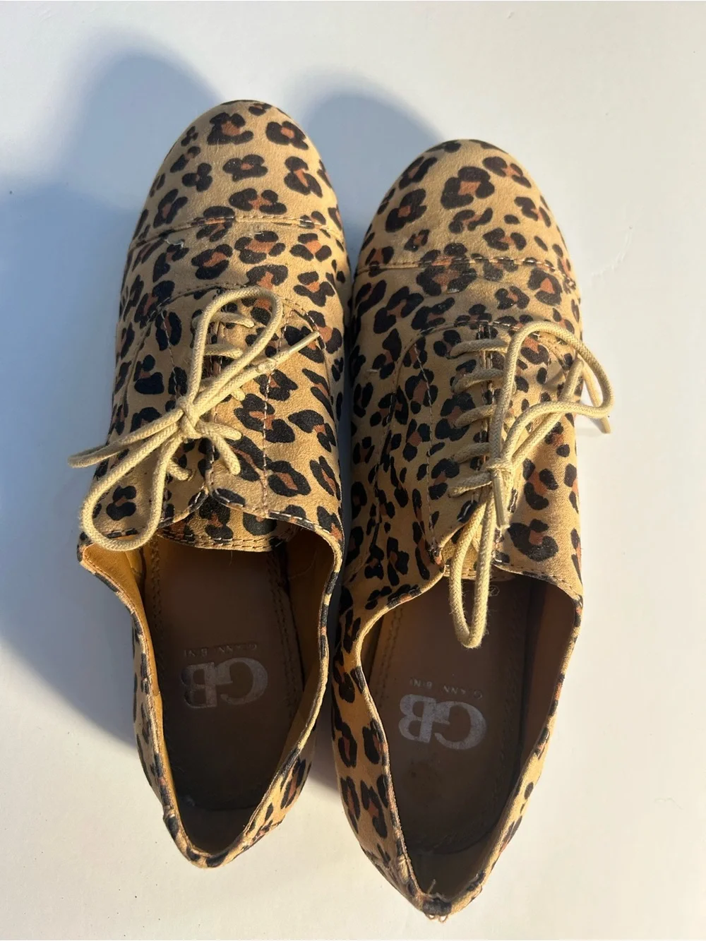 Gianni Bini Leopard-Print Lace-Up Flats in Tan and Black - Picture 1 of 5